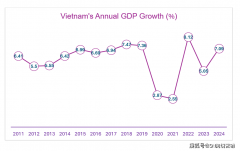 越南经济演讲（2024）：P商业外国间接投资